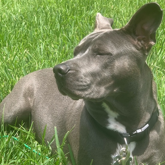 Meet your Posher, Elyn - Picture 1 of 1